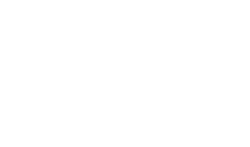 The Foley